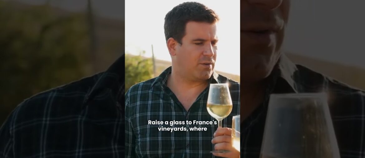 France Vineyards Journey Through Wine Country #short
