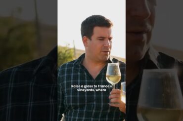 France Vineyards Journey Through Wine Country #short