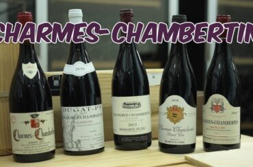 Charmes-Chambertin Explained — Why Producer Choice Matters So Much
