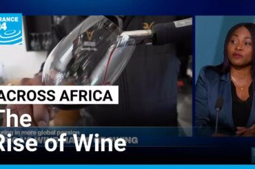 ACROSS AFRICA: Wined Up - A continent uncorked. • FRANCE 24 English