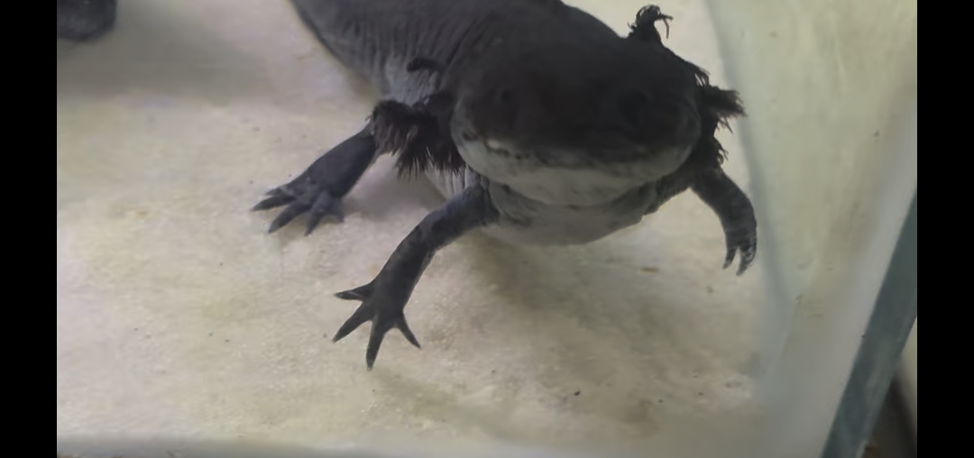 Just showing err off my beautiful tv! She is such a chunk 🥰