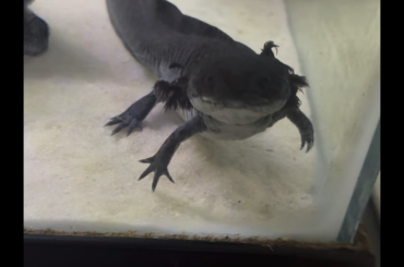 Just showing err off my beautiful tv! She is such a chunk 🥰