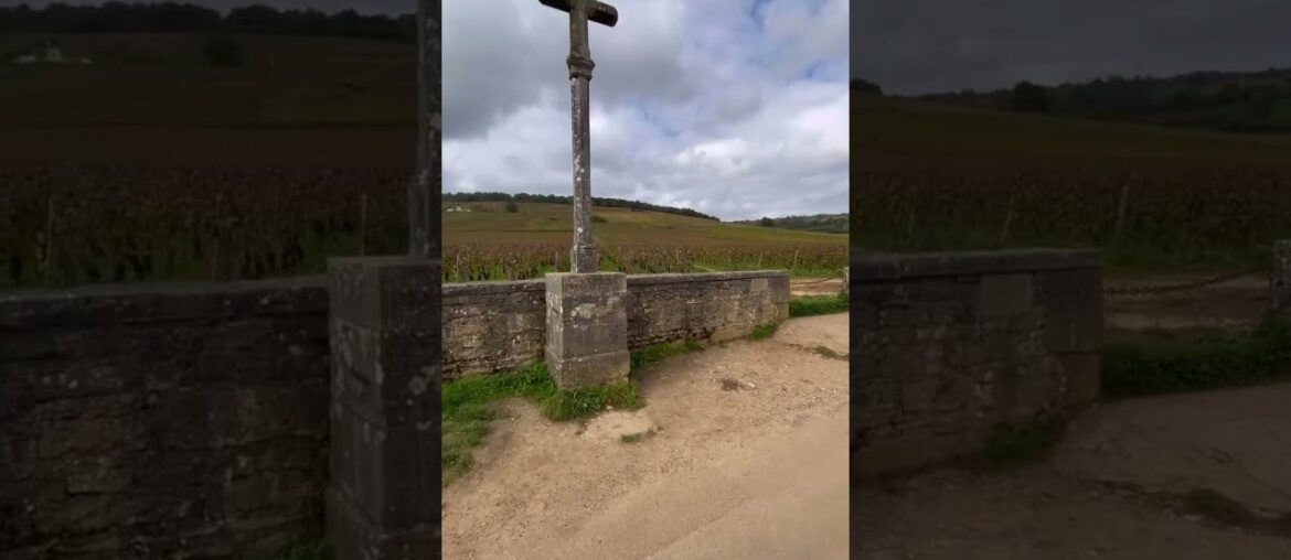 The dream we are living for!🍷@dave_wine_scout #drc #romaneeconti #burgundy #wineregion #france #vin