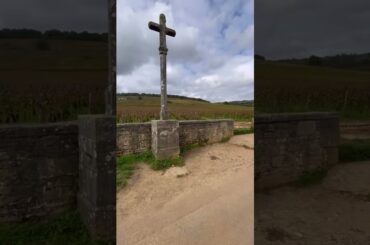 The dream we are living for!🍷@dave_wine_scout #drc #romaneeconti #burgundy #wineregion #france #vin