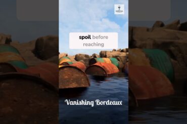 The Wine Curse of Bordeaux