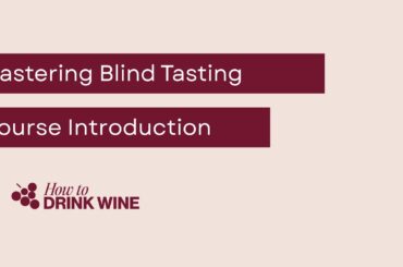The Somm School Master Blind Tasting Course Introduction