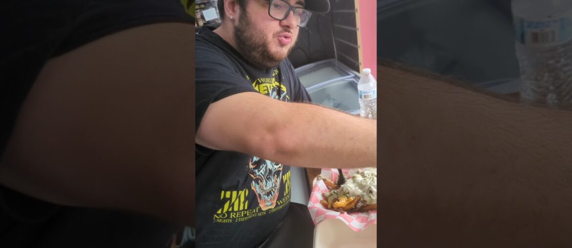 Willy's Munch Gormet Cheese Steak Over Fries Little Ferry NJ The Fast-Food Review Guys