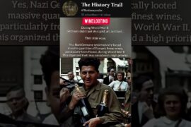 WINE 🍷 Looting #shorts #history