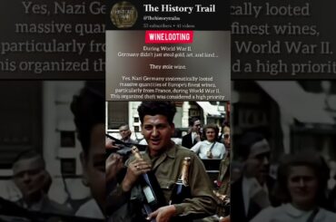 WINE 🍷 Looting #shorts #history