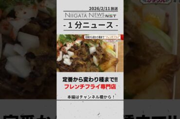 【新潟グルメ】定番から変わり種まで！フレンチフライ専門店 #新潟グルメ #グルメ #新潟