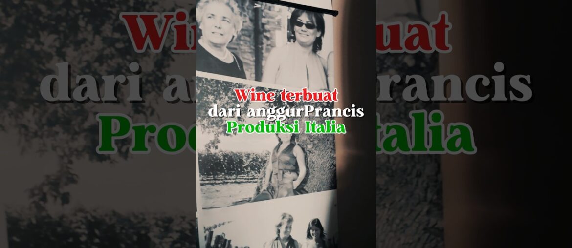 Wine dari anggur Prancis tapi produksi Italia 😳 #kelilingeropa #jalanjalanluarnegeri #montalcino