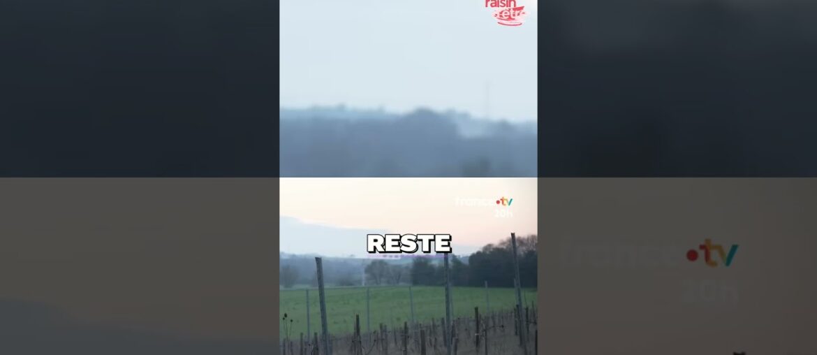 Le Vin en France : Un Geste Disparaît-il Vraiment ? #shorts