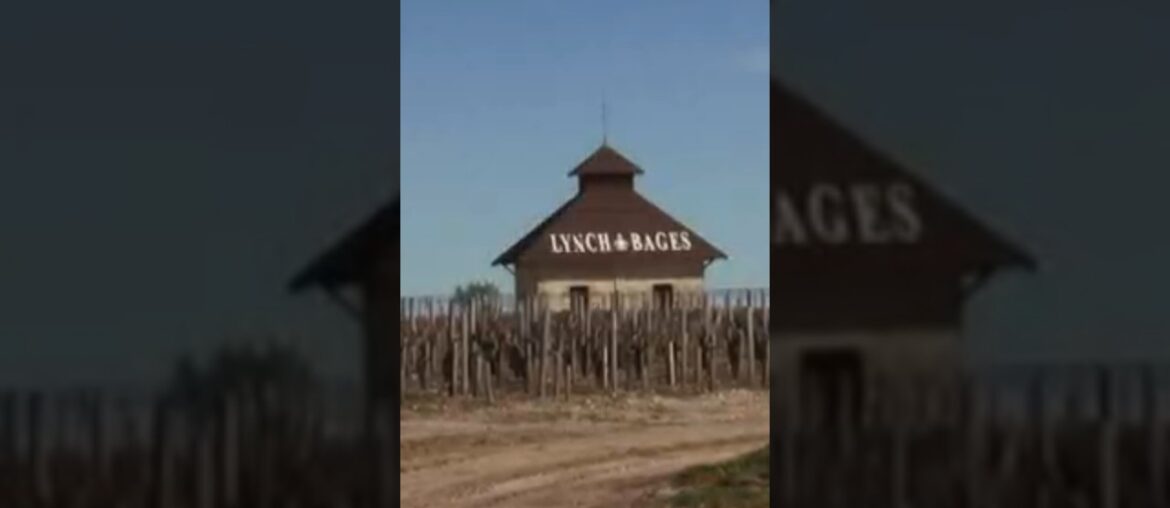 Chateau Lynch-Bages       #vinoivinogradarstvo #wine