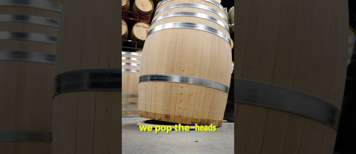 This Is How Real Wine Is Made 🍷 Barrel Punch Down Explained #centralcoastwine #pasorobleswine