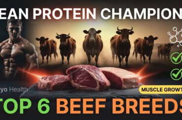 The Lean Protein Champions: Top 6 Beef Breeds for Muscle Growth!