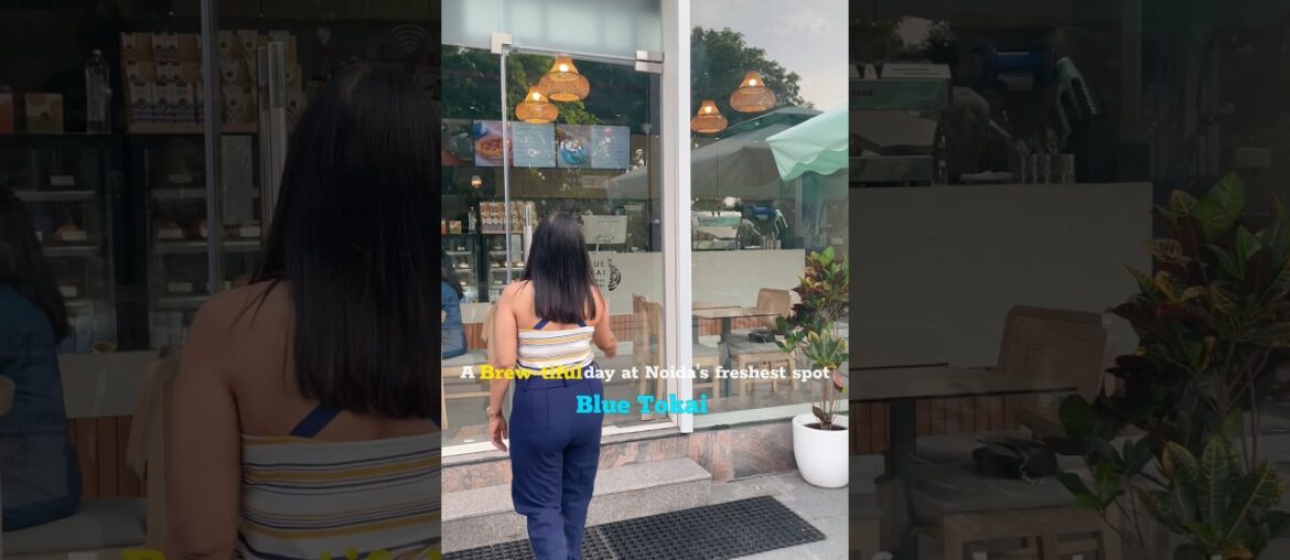 Location 👇 #bluetokai #café #shorts #ytshorts #bakery #desserts #chocolates #therapy #instagram #fyp Location 👇 #bluetokai #café #shorts #ytshorts #bakery #desserts #chocolates #therapy #instagram #fyp