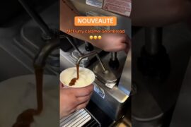 McFlurry™ Caramel Shortbread  Smoky Ranch Mcdonald's France (2026)