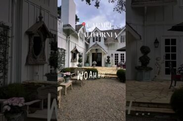 YOU WILL FALL IN LOVE WITH IT! Carmel charm meets French Provençal elegance. #carmel #realestate