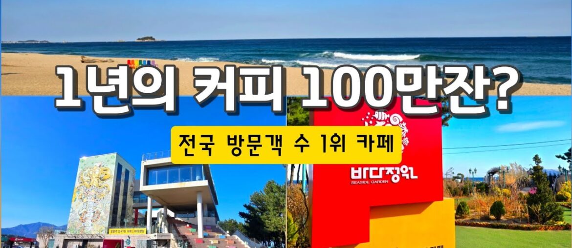 전국 방문객 수 1위 카페 실화?|고성 바다정원 오션뷰 베이커리 전국 방문객 수 1위 카페 실화?|고성 바다정원 오션뷰 베이커리