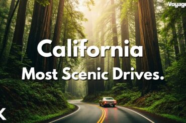 The Golden State: California’s Most Breathtaking Scenic Drives