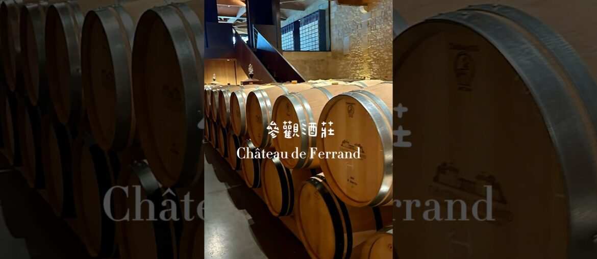 ✈️法國Day8✈️聖堤米里翁Saint-Emilion•波爾多Bordeaux #南法 #旅遊 #品酒  #紅酒  #法式甜點 #可麗露