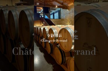 ✈️法國Day8✈️聖堤米里翁Saint-Emilion•波爾多Bordeaux #南法 #旅遊 #品酒  #紅酒  #法式甜點 #可麗露