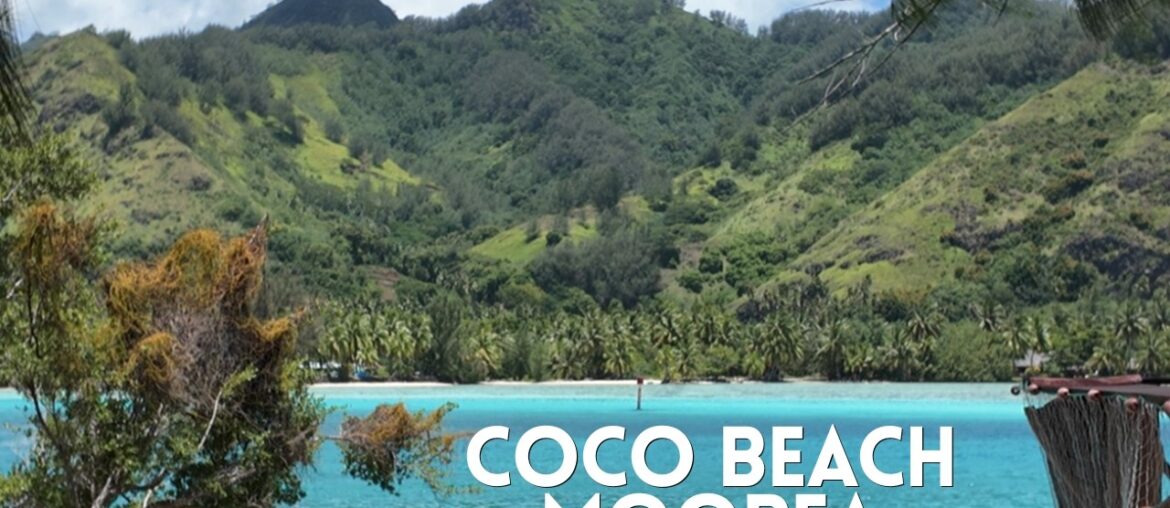 Coco Beach The BEST Beachfront Restaurant in Moorea 🇵🇫 Dining in Paradise 🌊 Coco Beach The BEST Beachfront Restaurant in Moorea 🇵🇫 Dining in Paradise 🌊