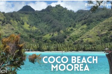 Coco Beach The BEST Beachfront Restaurant in Moorea 🇵🇫 Dining in Paradise 🌊