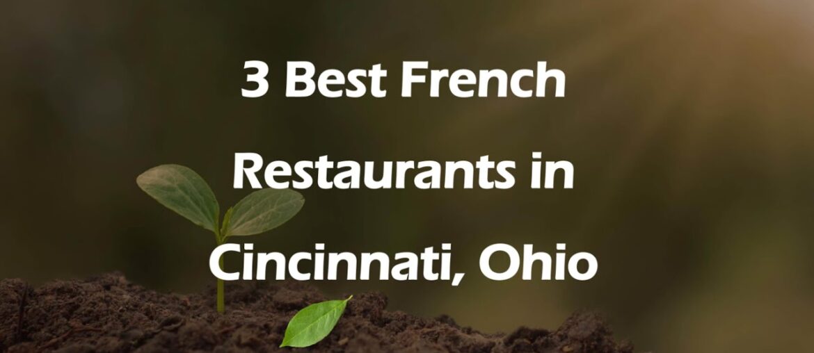3 Best French Restaurants in Cincinnati, Ohio | French Cuisine 3 Best French Restaurants in Cincinnati, Ohio | French Cuisine