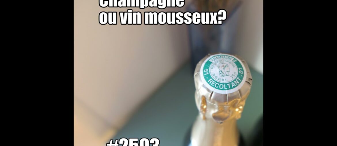 Champagne ou vin mousseux? French Wine Culture & Celebrations (Clairette de Die)