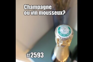 Champagne ou vin mousseux? French Wine Culture & Celebrations (Clairette de Die)