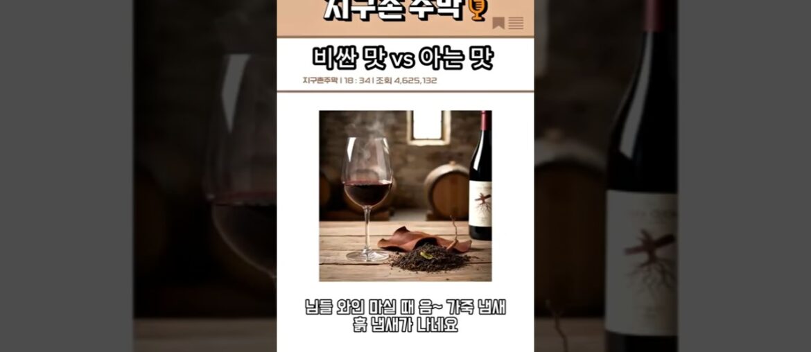 🍷 솔직히 50만 원짜리보다 2만 원짜리가 맛있는 이유 (feat. 구세계 vs 신세계)
