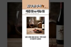 🍷 솔직히 50만 원짜리보다 2만 원짜리가 맛있는 이유 (feat. 구세계 vs 신세계)