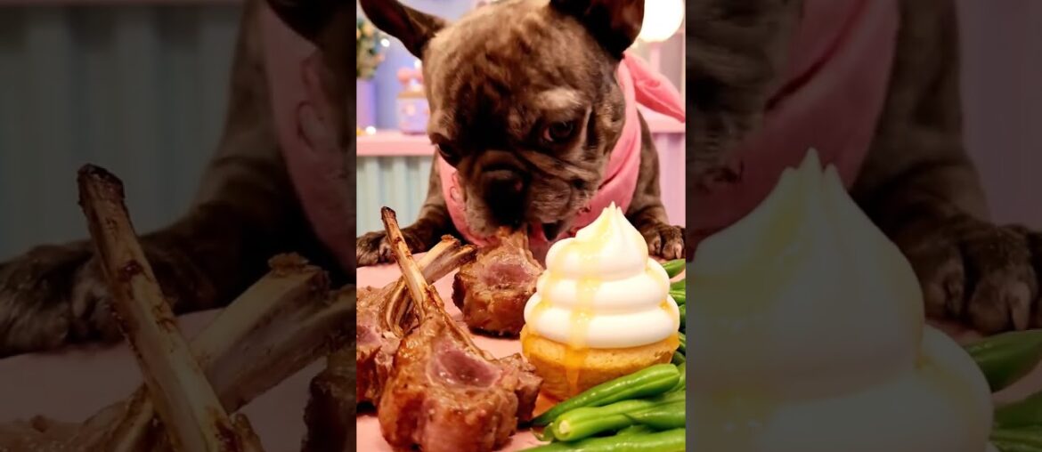 Rare Isabella Frenchie’s FIRST ASMR Mukbang   #ASMRDog #FrenchBulldog #IsabellaFrenchie #DogEating