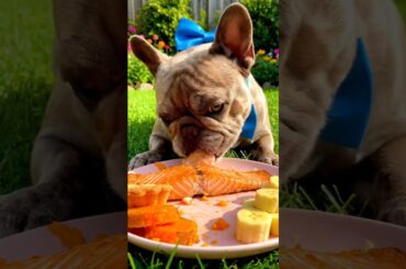 Rare Isabella Frenchie’s FIRST ASMR Mukbang   #ASMRDog #FrenchBulldog #IsabellaFrenchie #DogEating