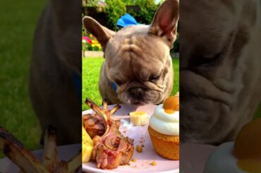 Rare Isabella Frenchie’s FIRST ASMR Mukbang   #ASMRDog #FrenchBulldog #IsabellaFrenchie #DogEating
