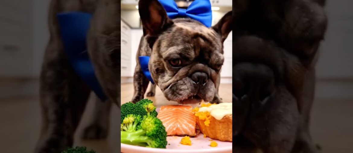 Rare Isabella Frenchie’s FIRST ASMR Mukbang   #ASMRDog #FrenchBulldog #IsabellaFrenchie #DogEating