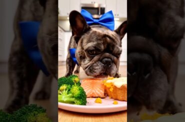 Rare Isabella Frenchie’s FIRST ASMR Mukbang   #ASMRDog #FrenchBulldog #IsabellaFrenchie #DogEating
