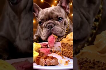 Rare Isabella Frenchie’s FIRST ASMR Mukbang   #ASMRDog #FrenchBulldog #IsabellaFrenchie #DogEating