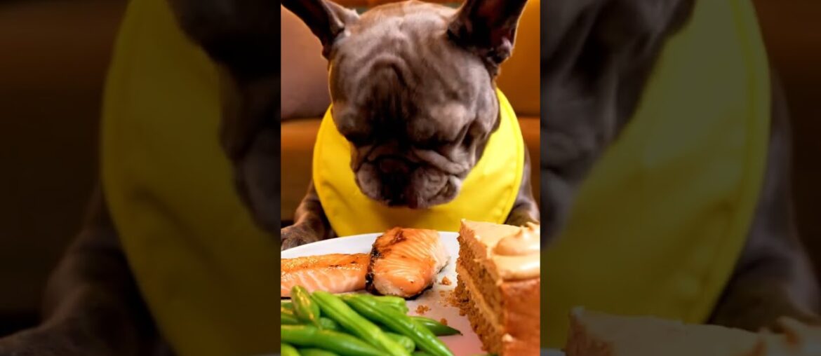 Rare Isabella Frenchie’s FIRST ASMR Mukbang #ASMRDog #FrenchBulldog #IsabellaFrenchie #DogEating Rare Isabella Frenchie’s FIRST ASMR Mukbang #ASMRDog #FrenchBulldog #IsabellaFrenchie #DogEating