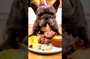 Rare Isabella Frenchie’s FIRST ASMR Mukbang   #ASMRDog #FrenchBulldog #IsabellaFrenchie #DogEating