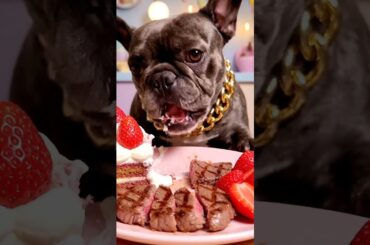 Rare Isabella Frenchie’s FIRST ASMR Mukbang   #ASMRDog #FrenchBulldog #IsabellaFrenchie #DogEating