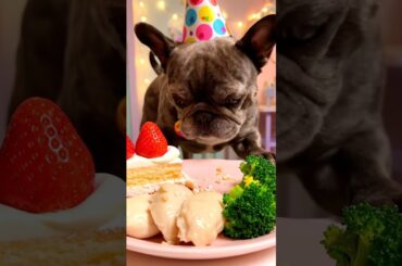 Rare Isabella Frenchie’s FIRST ASMR Mukbang   #ASMRDog #FrenchBulldog #IsabellaFrenchie #DogEating