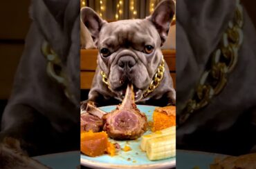 Rare Isabella Frenchie’s FIRST ASMR Mukbang   #ASMRDog #FrenchBulldog #IsabellaFrenchie #DogEating