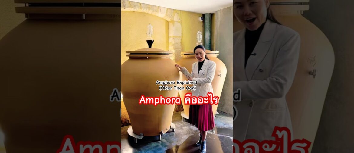 Amphora คืออะไร? | Amphora Explained (Older Than Oak) #wineeducation #frenchwine #ไวน์ฝรั่งเศส #wine Amphora คืออะไร? | Amphora Explained (Older Than Oak) #wineeducation #frenchwine #ไวน์ฝรั่งเศส #wine