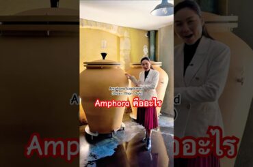 Amphora คืออะไร? | Amphora Explained (Older Than Oak) #wineeducation #frenchwine #ไวน์ฝรั่งเศส #wine