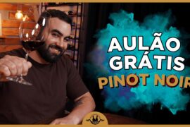 AULA GRÁTIS: Pinot Noir da Borgonha