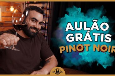 AULA GRÁTIS: Pinot Noir da Borgonha