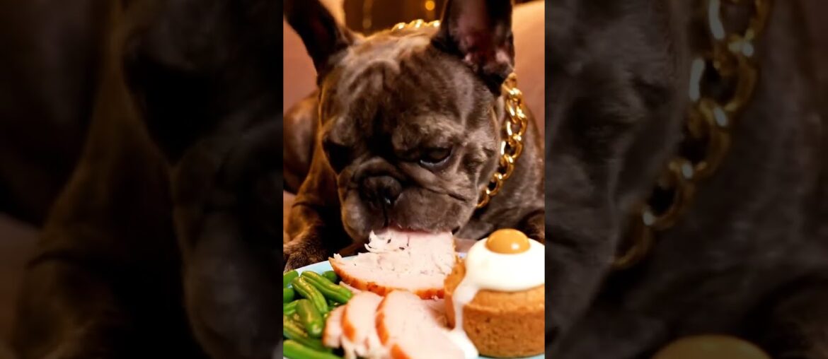 Rare Isabella Frenchie’s FIRST ASMR Mukbang #ASMRDog #FrenchBulldog #IsabellaFrenchie #DogEating Rare Isabella Frenchie’s FIRST ASMR Mukbang #ASMRDog #FrenchBulldog #IsabellaFrenchie #DogEating