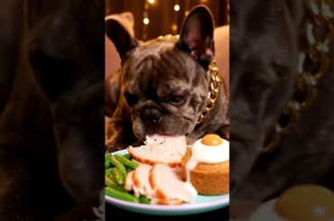 Rare Isabella Frenchie’s FIRST ASMR Mukbang   #ASMRDog #FrenchBulldog #IsabellaFrenchie #DogEating